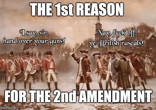Hand Over | THE 1st REASON; FOR THE 2nd AMENDMENT | image tagged in hand over | made w/ Imgflip meme maker