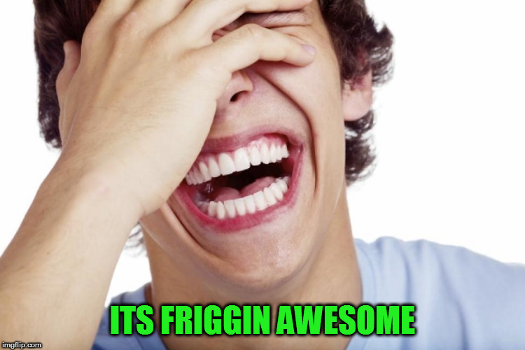 ITS FRIGGIN AWESOME | made w/ Imgflip meme maker