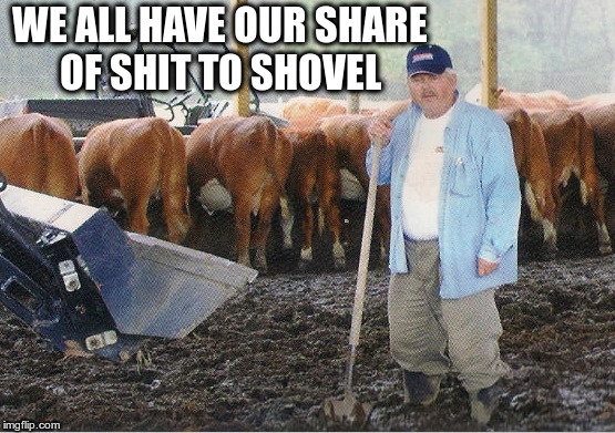 Stop Whining | WE ALL HAVE OUR SHARE OF SHIT TO SHOVEL | image tagged in shoveling | made w/ Imgflip meme maker