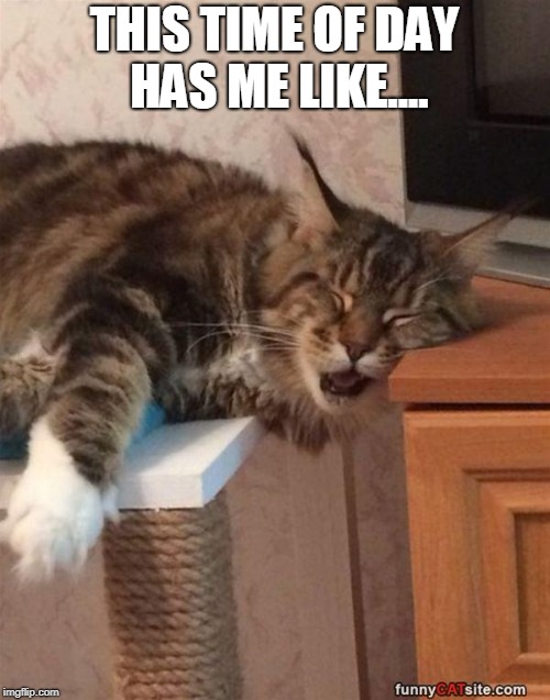 THIS TIME OF DAY HAS ME LIKE.... | image tagged in that sleepy feeling | made w/ Imgflip meme maker