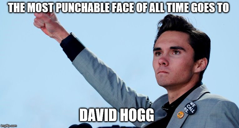 1984 | THE MOST PUNCHABLE FACE OF ALL TIME GOES TO; DAVID HOGG | image tagged in david hogg,2nd amendment | made w/ Imgflip meme maker