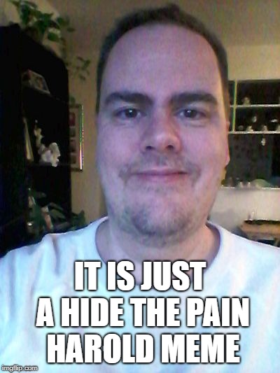 smile | IT IS JUST A HIDE THE PAIN HAROLD MEME | image tagged in smile | made w/ Imgflip meme maker