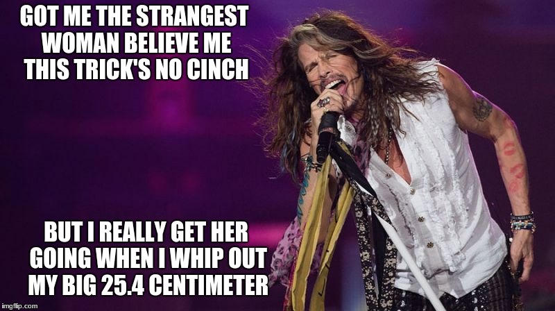This is why the Metric System wouldn't work in the United States | GOT ME THE STRANGEST WOMAN
BELIEVE ME THIS TRICK'S NO CINCH; BUT I REALLY GET HER GOING
WHEN I WHIP OUT MY BIG 25.4 CENTIMETER | image tagged in memes,aerosmith | made w/ Imgflip meme maker