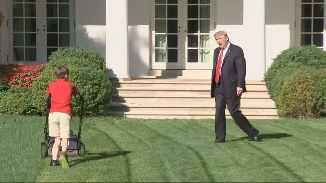Trump lawnmower kid Blank Meme Template