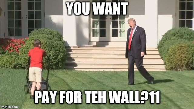 Trump lawnmower kid | YOU WANT; PAY FOR TEH WALL?11 | image tagged in trump lawnmower kid | made w/ Imgflip meme maker