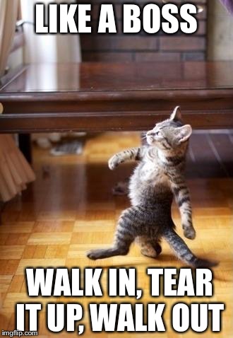 Cool Cat Stroll | LIKE A BOSS; WALK IN, TEAR IT UP, WALK OUT | image tagged in memes,cool cat stroll | made w/ Imgflip meme maker