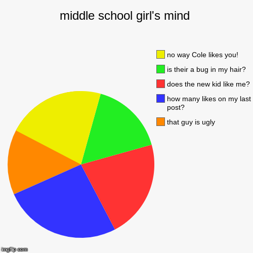 middle school girl's mind | that guy is ugly, how many likes on my last post?, does the new kid like me?, is their a bug in my hair?, no way | image tagged in funny,pie charts | made w/ Imgflip chart maker