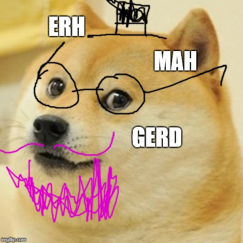 Doge Meme | ERH; MAH; GERD | image tagged in memes,doge | made w/ Imgflip meme maker