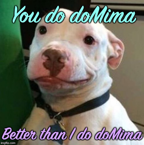 Awkward Dog | You do doMima Better than I do doMima | image tagged in awkward dog | made w/ Imgflip meme maker