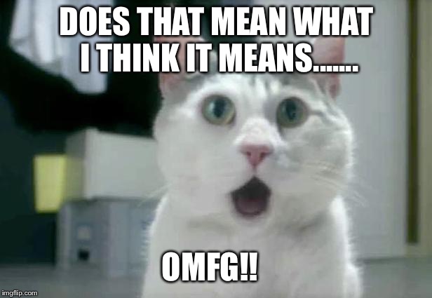 OMG Cat Meme | DOES THAT MEAN WHAT I THINK IT MEANS....... OMFG!! | image tagged in memes,omg cat | made w/ Imgflip meme maker