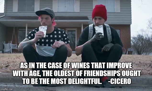 AS IN THE CASE OF WINES THAT IMPROVE WITH AGE, THE OLDEST OF FRIENDSHIPS OUGHT TO BE THE MOST DELIGHTFUL.     -CICERO | image tagged in lady | made w/ Imgflip meme maker