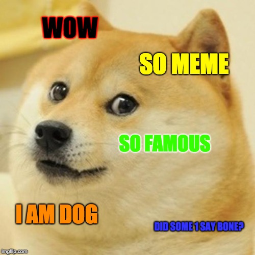 Doge | WOW; SO MEME; SO FAMOUS; I AM DOG; DID SOME 1 SAY BONE? | image tagged in memes,doge | made w/ Imgflip meme maker