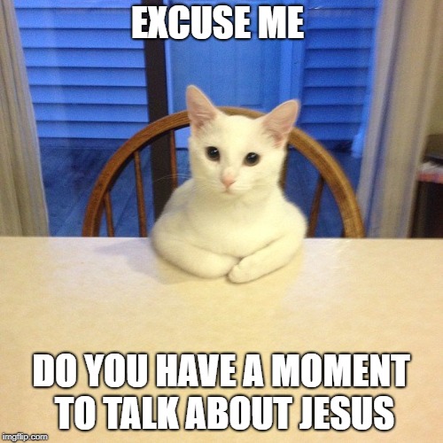 Cute Kitty | EXCUSE ME; DO YOU HAVE A MOMENT TO TALK ABOUT JESUS | image tagged in memes | made w/ Imgflip meme maker