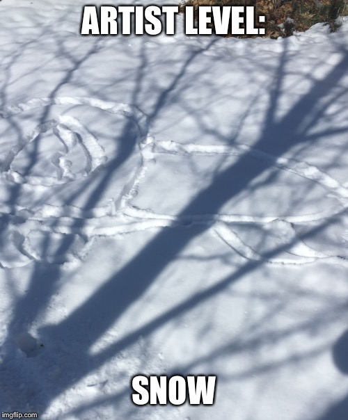Then artists be at work | ARTIST LEVEL:; SNOW | image tagged in snow,memes | made w/ Imgflip meme maker