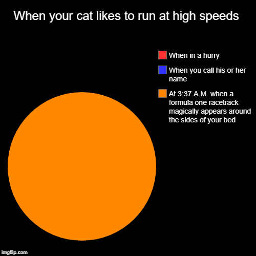 When your cat likes to run at high speeds | At 3:37 A.M. when a formula one racetrack magically appears around the sides of your bed , When  | image tagged in funny,pie charts | made w/ Imgflip chart maker