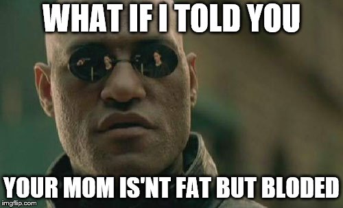 Matrix Morpheus Meme | WHAT IF I TOLD YOU; YOUR MOM IS'NT FAT BUT BLODED | image tagged in memes,matrix morpheus | made w/ Imgflip meme maker