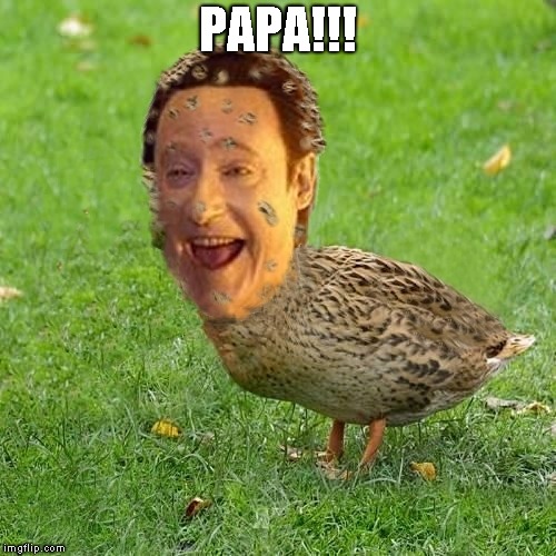 The Data Duck | PAPA!!! | image tagged in the data duck | made w/ Imgflip meme maker