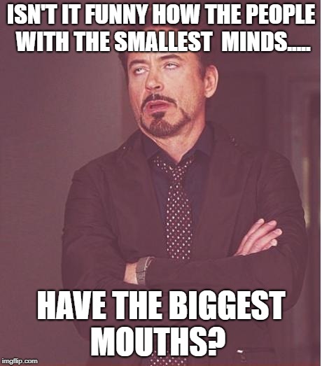 Face You Make Robert Downey Jr Meme | ISN'T IT FUNNY HOW THE PEOPLE WITH THE SMALLEST  MINDS..... HAVE THE BIGGEST MOUTHS? | image tagged in memes,face you make robert downey jr | made w/ Imgflip meme maker