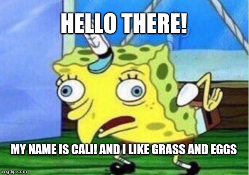 Mocking Spongebob Meme | HELLO THERE! MY NAME IS CALI! AND I LIKE GRASS AND EGGS | image tagged in memes,mocking spongebob | made w/ Imgflip meme maker