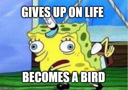 Mocking Spongebob Meme | GIVES UP ON LIFE; BECOMES A BIRD | image tagged in memes,mocking spongebob | made w/ Imgflip meme maker