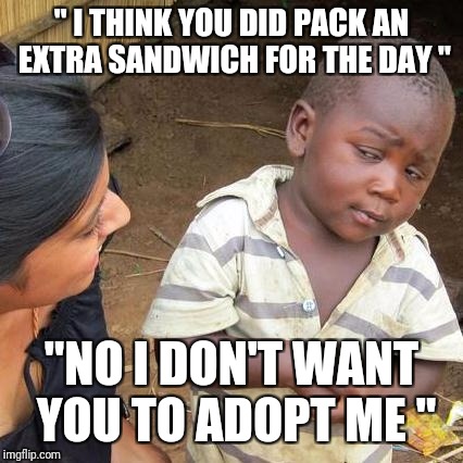 Third World Skeptical Kid Meme | " I THINK YOU DID PACK AN EXTRA SANDWICH FOR THE DAY "; "NO I DON'T WANT YOU TO ADOPT ME " | image tagged in memes,third world skeptical kid | made w/ Imgflip meme maker