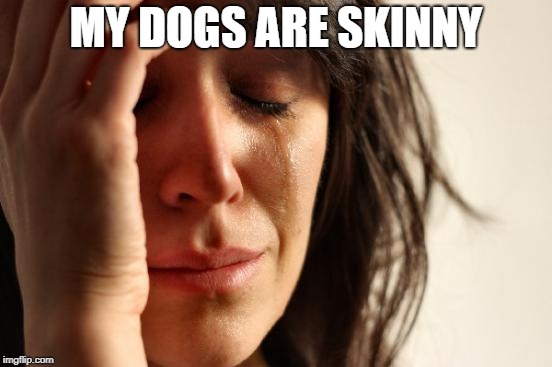 First World Problems Meme | MY DOGS ARE SKINNY | image tagged in memes,first world problems | made w/ Imgflip meme maker