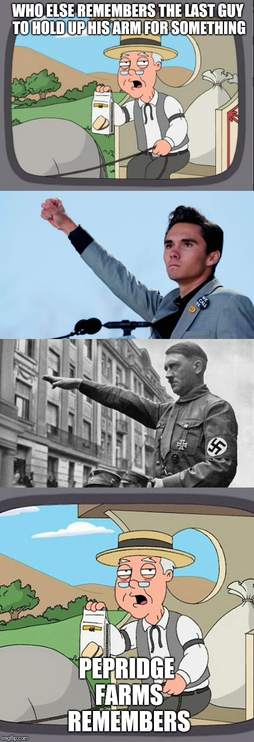 Adolf Hogg | WHO ELSE REMEMBERS THE LAST GUY TO HOLD UP HIS ARM FOR SOMETHING; PEPRIDGE FARMS REMEMBERS | image tagged in adolf hitler,david hogg,pepperidge farm remembers | made w/ Imgflip meme maker