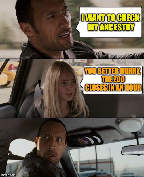 I don't think he wants to go that far back. | I WANT TO CHECK MY ANCESTRY; YOU BETTER HURRY, THE ZOO CLOSES IN AN HOUR | image tagged in memes,the rock driving,zoo,funny,ancestry | made w/ Imgflip meme maker