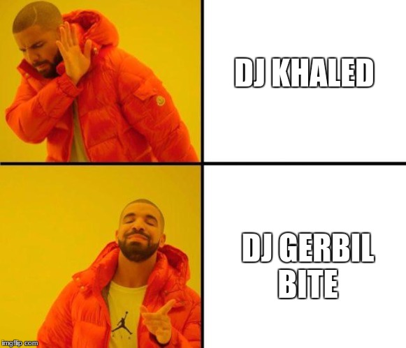 drake meme | DJ KHALED; DJ GERBIL BITE | image tagged in drake meme | made w/ Imgflip meme maker