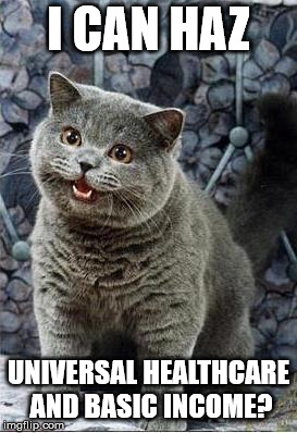 I can has cheezburger cat | I CAN HAZ; UNIVERSAL HEALTHCARE AND BASIC INCOME? | image tagged in i can has cheezburger cat | made w/ Imgflip meme maker