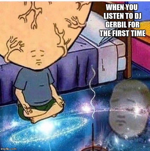 WHEN YOU LISTEN TO DJ GERBIL FOR THE FIRST TIME | image tagged in bobby,dj gerbil | made w/ Imgflip meme maker