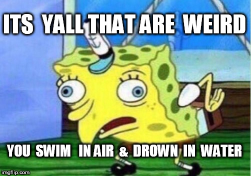 Senor  Bob   | ITS  YALL THAT ARE  WEIRD YOU  SWIM   IN AIR  &  DROWN  IN  WATER | image tagged in memes,mocking spongebob,the sponge  sir  bob,mr  roberts | made w/ Imgflip meme maker