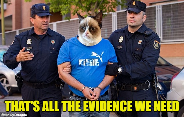 THAT'S ALL THE EVIDENCE WE NEED | made w/ Imgflip meme maker