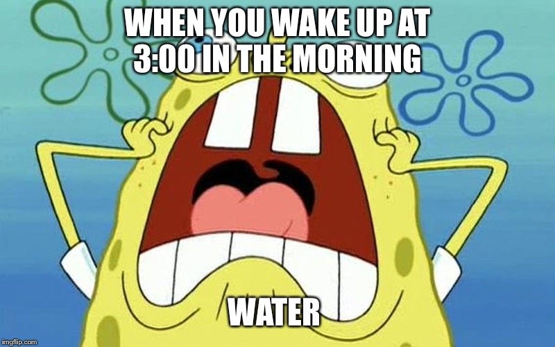 Sponge bob | WHEN YOU WAKE UP AT 3:00 IN THE MORNING; WATER | image tagged in sponge bob | made w/ Imgflip meme maker