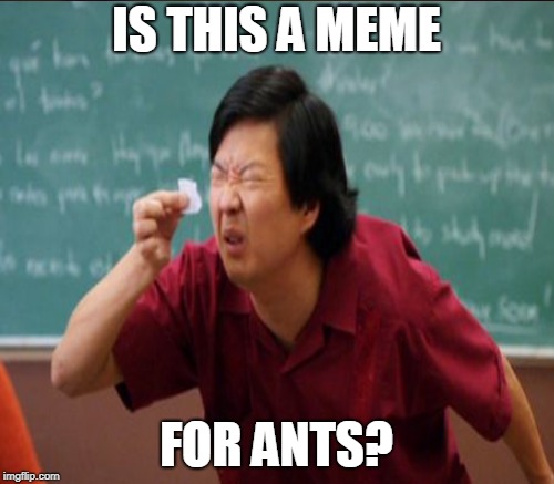 IS THIS A MEME FOR ANTS? | made w/ Imgflip meme maker