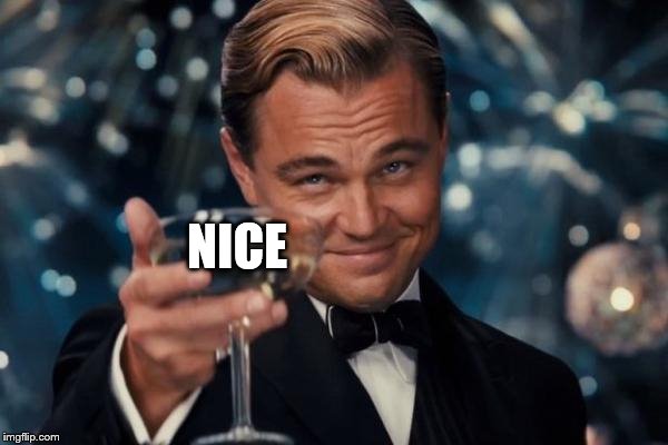 Leonardo Dicaprio Cheers Meme | NICE | image tagged in memes,leonardo dicaprio cheers | made w/ Imgflip meme maker