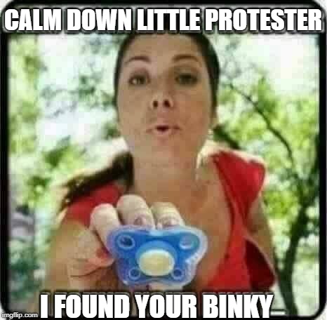 protestor binky | CALM DOWN LITTLE PROTESTER; I FOUND YOUR BINKY | image tagged in protestor binky | made w/ Imgflip meme maker