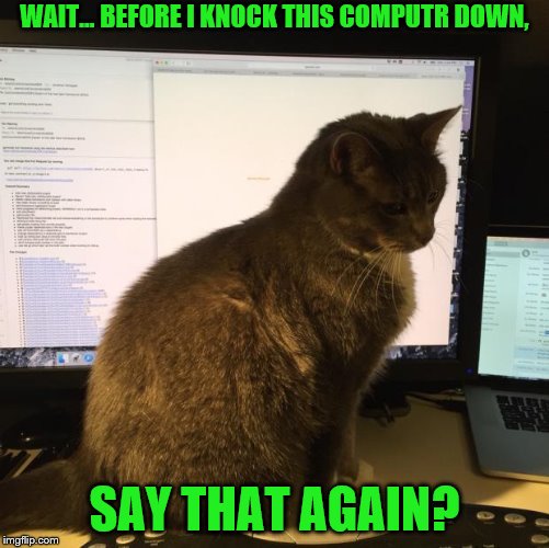 WAIT... BEFORE I KNOCK THIS COMPUTR DOWN, SAY THAT AGAIN? | made w/ Imgflip meme maker