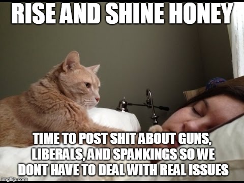 Wake up cat | RISE AND SHINE HONEY; TIME TO POST SHIT ABOUT GUNS, LIBERALS, AND SPANKINGS SO WE DONT HAVE TO DEAL WITH REAL ISSUES | image tagged in wake up cat | made w/ Imgflip meme maker