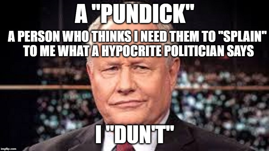 A PUN"DICK" | A "PUNDICK"; A PERSON WHO THINKS I NEED THEM TO "SPLAIN" TO ME WHAT A HYPOCRITE POLITICIAN SAYS; I "DUN'T" | image tagged in politics,political meme,funny meme,memes,mainstream media | made w/ Imgflip meme maker