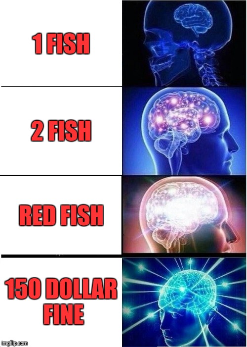 Expanding Brain Meme | 1 FISH 2 FISH RED FISH 150 DOLLAR FINE | image tagged in memes,expanding brain | made w/ Imgflip meme maker