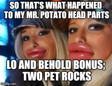 Duck Face Chicks | SO THAT'S WHAT HAPPENED TO MY MR. POTATO HEAD PARTS; LO AND BEHOLD BONUS; TWO PET ROCKS | image tagged in memes,duck face chicks | made w/ Imgflip meme maker