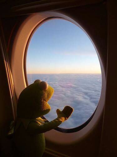 High Quality Kermit on Plane Blank Meme Template