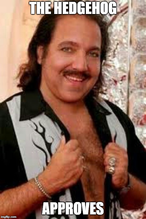 Image result for ron jeremy approves