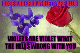 ROSES ARE RED
VIOLETS ARE BLUE; VIOLETS ARE VIOLET WHAT THE HELLS WRONG WITH YOU | made w/ Imgflip meme maker