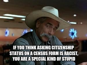 special kind of stupid | IF YOU THINK ASKING CITIZENSHIP STATUS ON A CENSUS FORM IS RACIST, YOU ARE A SPECIAL KIND OF STUPID | image tagged in special kind of stupid | made w/ Imgflip meme maker