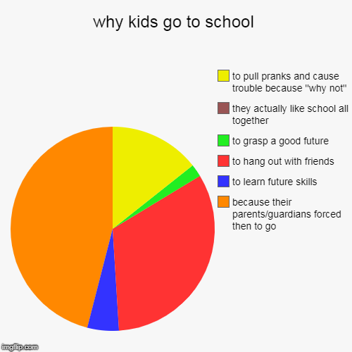why kids go to school | because their parents/guardians forced then to go, to learn future skills, to hang out with friends, to grasp a good | image tagged in funny,pie charts,memes,school | made w/ Imgflip chart maker