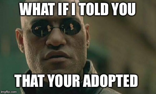 Matrix Morpheus | WHAT IF I TOLD YOU; THAT YOUR ADOPTED | image tagged in memes,matrix morpheus | made w/ Imgflip meme maker