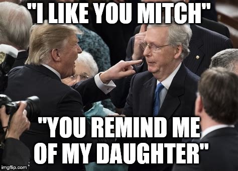 "I LIKE YOU MITCH"; "YOU REMIND ME OF MY DAUGHTER" | image tagged in trump mitch | made w/ Imgflip meme maker
