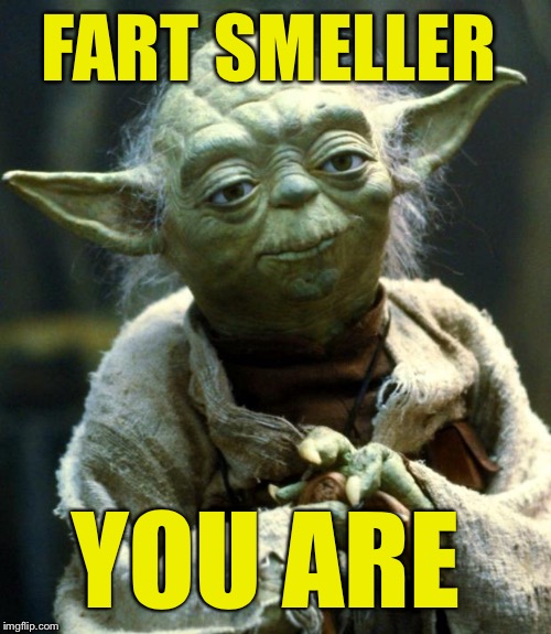 Star Wars Yoda Meme | FART SMELLER YOU ARE | image tagged in memes,star wars yoda | made w/ Imgflip meme maker